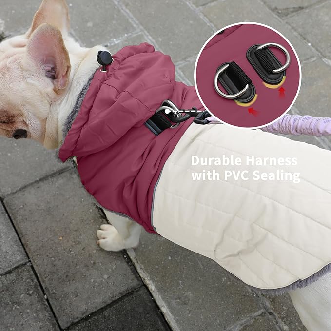 Detachable Hooded Dog Coat with Harness for Small Dogs,Super Warm Fleece Puppy Jacket for Cold Winter Doggie Coats,Red S