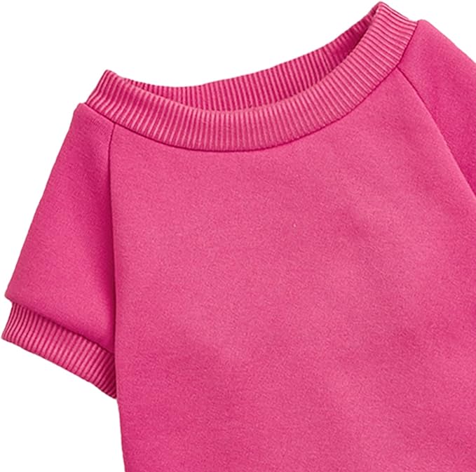 Puppy Sweater for Small Dogs Clothes Warm Winter Cat Clothe Pet Sweatshirt Knitwear Doggie Kitten Clothing, Rose, XX-Small