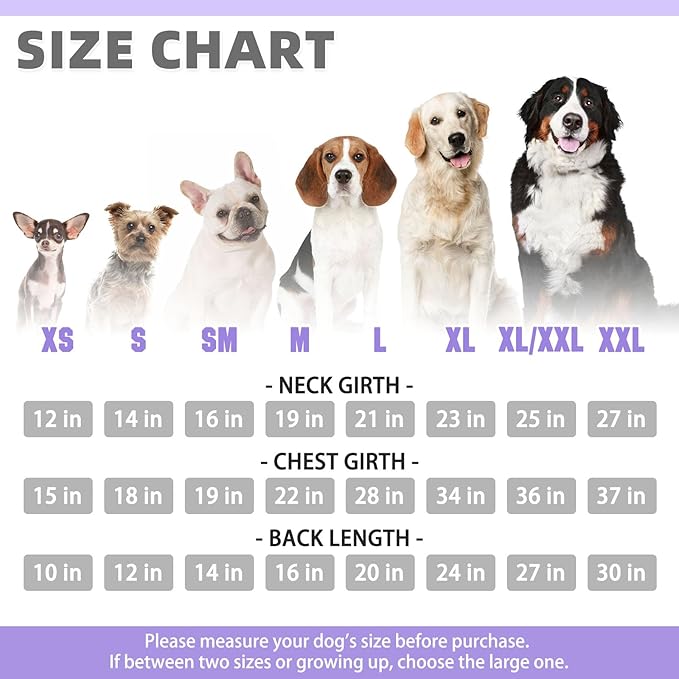 KOOLTAIL Basic Dog Hoodie - Soft & Warm Dog Hoodie Sweater with Leash Hole and Pocket, Pet Winter Coat, Cold Weather Clothes Sweatshirt for Small Medium Large Dogs Puppy Cat Boys Girls Lavender L