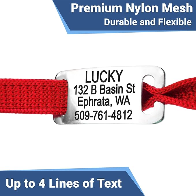 GoTags Cat Collars with Personalized Tag, Breakaway Collar with Safety Buckle Matching Bell, Engraved Custom with Name and Phone, Adjustable for Cats and Kitten, (Black with Nameplate)