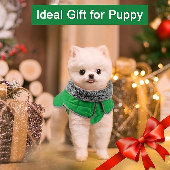 Fragralley Dog Winter Coat, Waterproof Windproof Reflective Fleece Jacket with Harness Hole, Warm Snow Vest for Small Medium Large Dogs, Ideal Gifts