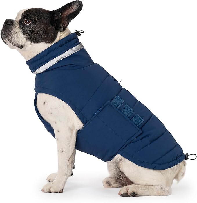 Dog Coat, Waterproof Winter Jacket, Warm Windproof Jacket, Reflective Adjustable Turtleneck Coats for Small Dogs with Hook & Loop - Blue - S