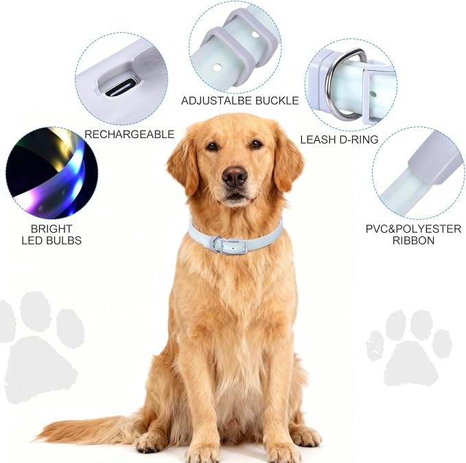 Lighted Dog Collar, Rechargeable Light Up Pet Collar, Waterproof LED Dog Collar Glow in The Dark, Make Pet Visible and Safety for Night Walking for Small Medium Large Dogs (Red)