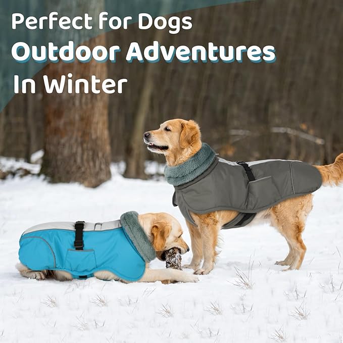 Queenmore Winter Dog Jacket - Warm Reflective, Waterproof Coat for Small Dogs, Grey, S