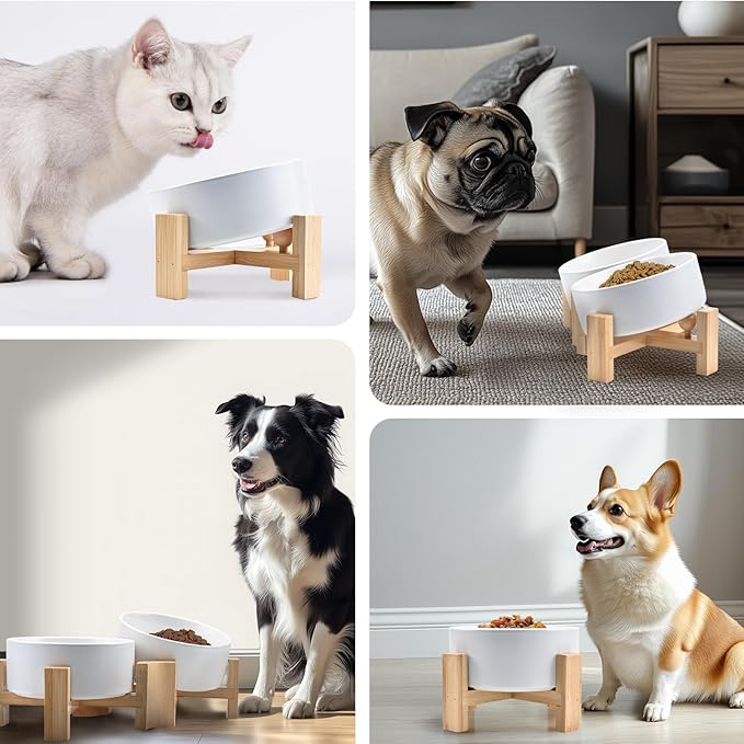 SPUNKYJUNKY 15° Slanted Ceramic Dog and Cat Bowl with Wooden Stand, Tilted Bulldog Food and Water Bowl No Slip Non-Spill for Cats Medium Dogs Big Face Pets 28.7 OZ (3.6 Cups, White × 2)