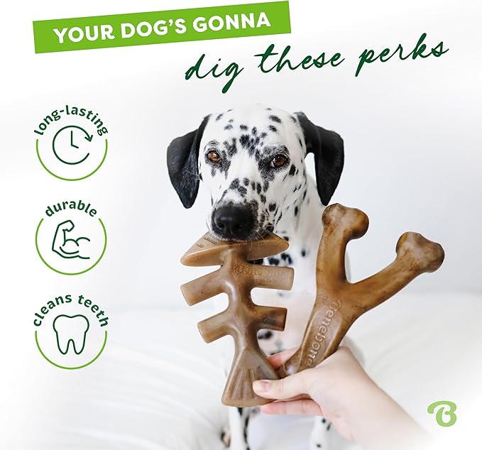 Benebone 2-pack Fishbone/Wishbone Durable Dog Chew Toys, Real Fish, Real Bacon, Made in USA, Small