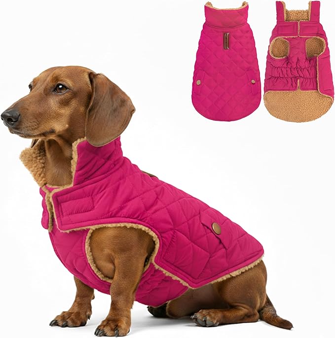 azuza Dog Jacket Waterproof & Windproof Dog Coat for Small Dogs with Thick Fleece, High Collar with Leash Hole, Adjustable Velcro & Elastic Belly, Rose Red L