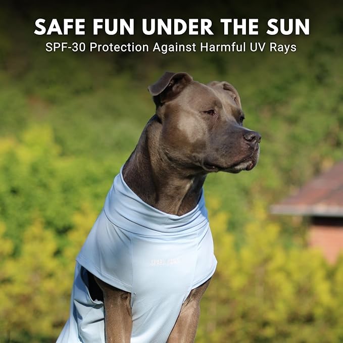 Spark Paws Sunblock Dog T-Shirt, SPF30 Protection, Lightweight Breathable Quick Dry for Dogs with Sensitive Skin - Blue & Mint (Set of 2) - XL