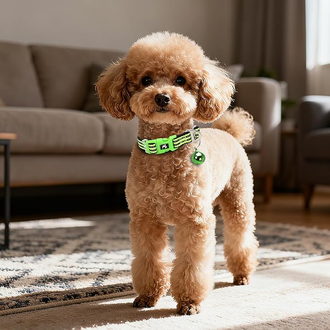 XXS-XS Dog Collar with Bell Reflective - Adjustable Tiny Small Breed Collar for Girl Boy Chihuahua Puppies, Night Walk Safety Accessory（Green XS）