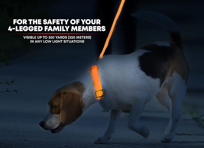ILLUMISEEN LED Dog Collar USB Rechargeable - Bright & High Visibility Lighted Glow Collar for Pet Night Walking - Weatherproof, in 6 Colors & 6 Sizes (Orange Small)
