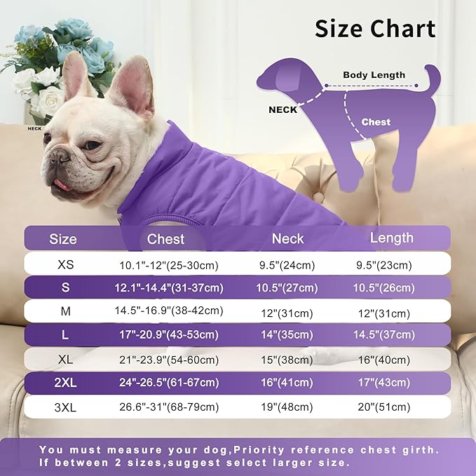 2 Layers Fleece Lined Warm Dog Jacket for Puppy Winter Cold Weather,Soft Windproof Small Dog Coat,Purple M