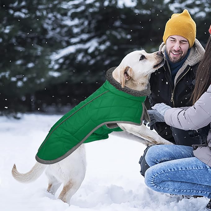 Fragralley Dog Coat Large, Waterproof Dog Jacket with Warm Fleece Lining, Adjustable Reflective Dogs Winter Coat, Turtleneck Pet Coats for Cold Weather (Green XXXL)