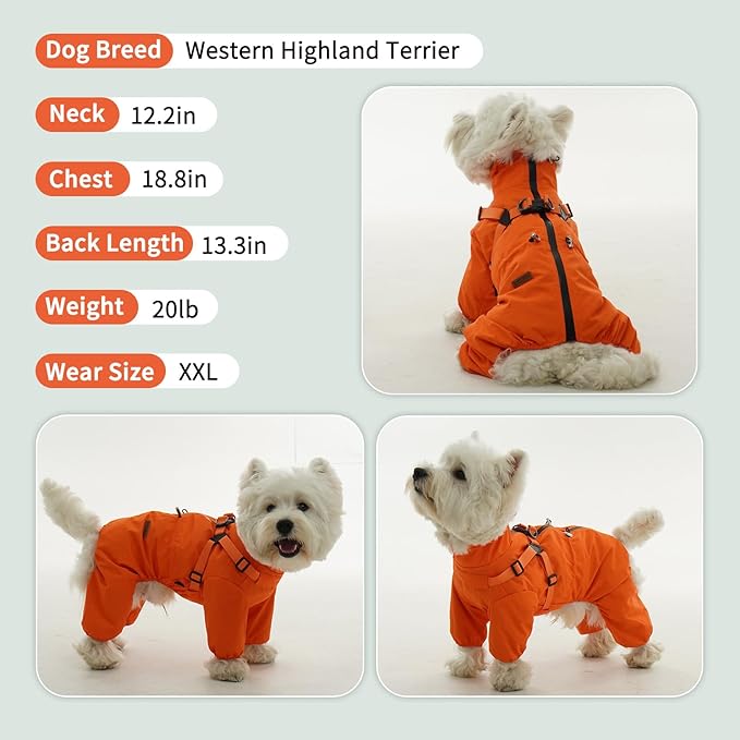 BRKURLEG Dog Raincoat for Small Dogs, Small Dog Rain Jacket with Harness Built in, Waterproof 4 Legs Pet Raincoats, Puppy Outdoor Jacket with Reflective Strip, Orange, XXL