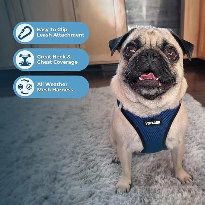 Best Pet Supplies Voyager Step-in Air Harness - All Weather Mesh, Reflective, No Pull Harness for Dogs, Cats - Secure with Hook & Loop Fastener, Buckle, Double D-Rings - Blue/Black Trim, S