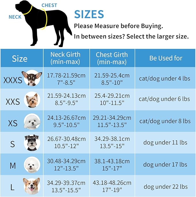 AIITLE Teacup Puppy Harness with Leash - Adjustable Soft Vest with Magic Tape & Reflective Safety Strips, Easy-Put-On for Poodles, Pomeranians - Gym, Hiking, Travel (Sage, S)