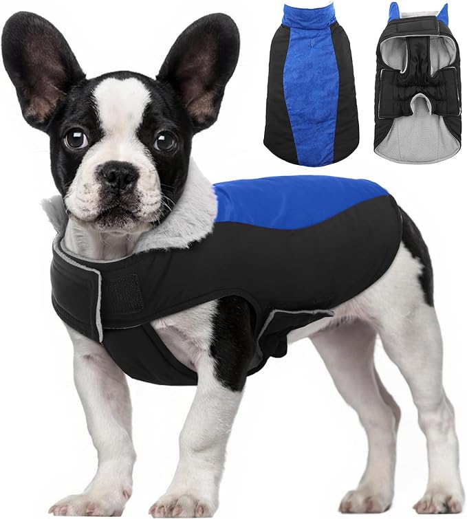 Warm Dog Coat,Waterproof Jacket in Winter Adjustable and Reversible Doggy Fleece Outfit,Thick Clothes with Foldable Collar for Puppy in Cold Days,XS RoyalBlue