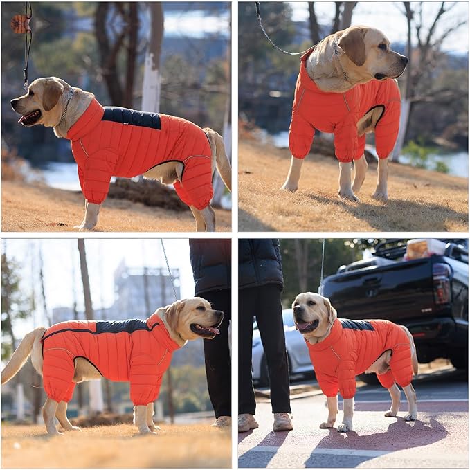 Lovelonglong Warm Jacket - 4 Legs Covered Waterproof Windproof Reflective Vest, Zippered Adjustable Outdoor Snow Jacket for Small Medium Large Dogs, Orange XXL