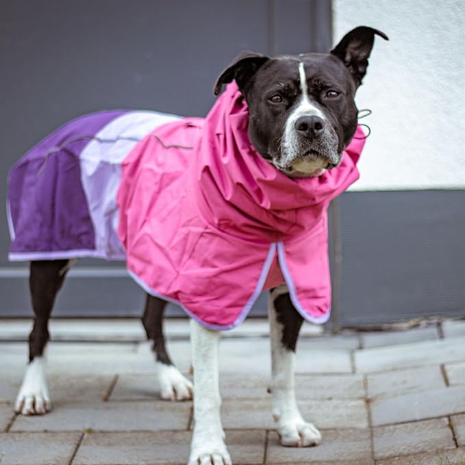 Spark Paws Dog Raincoat, Waterproof Windproof Rain Jacket, for Small Medium Large Extra Large Dogs, Reflective Breathable Full-Body Coverage Dry Suit - Pink Lilac Purple - S