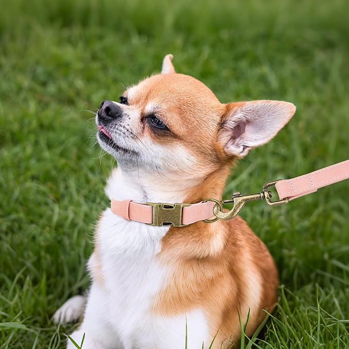 Didog Soft PU Leather Dog Collar, Stylish Quick Released Dog Collars for Small Dogs, Easy Clean Adjustable Pet Collar for Daily Walking, Pink, S Fit 10-16" Neck