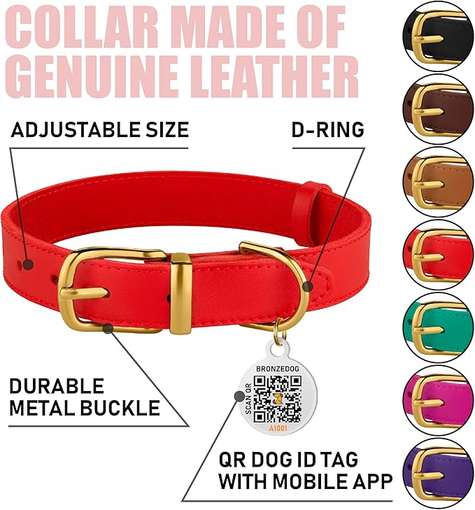 BRONZEDOG Leather Dog Collar with Metal Buckle Durable Basic Pet Collars for Small Medium Large Dogs (19-21 Inch (Pack of 1), Red & Gold Buckle)