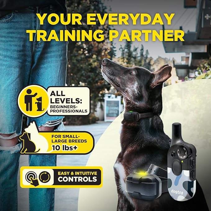 Dogtra 200iQ Remote Training E Collar – 100 Levels, Tone, Vibration, 1/2 Mile Range – Compact, Waterproof, One-Handed Control for Dogs 10 lbs+ – Lightweight Design for Daily Training – Abstract Blue