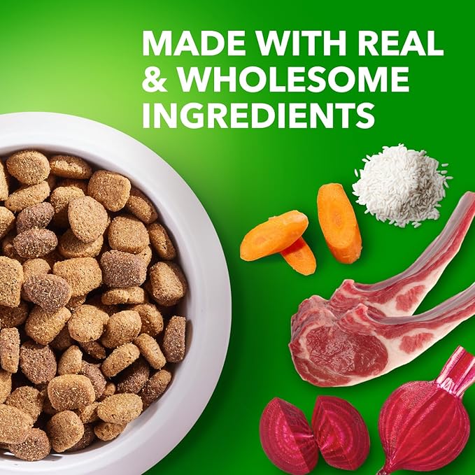 IAMS Proactive Health Large Breed Adult Dry Dog Food Lamb & Rice Recipe, 15 lb. Bag