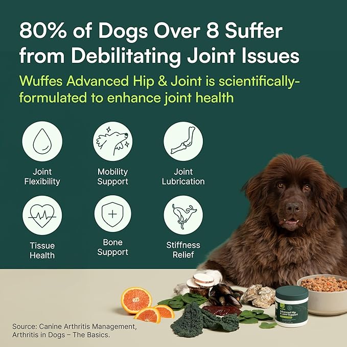Wuffes Chewable Dog Hip & Joint Supplement - Glucosamine & Chondroitin Chews - Dog Joint Supplements & Vitamins - Extended Joint Care (Large Breed (Over 65 lbs), 60 Chews (Pack of 2))