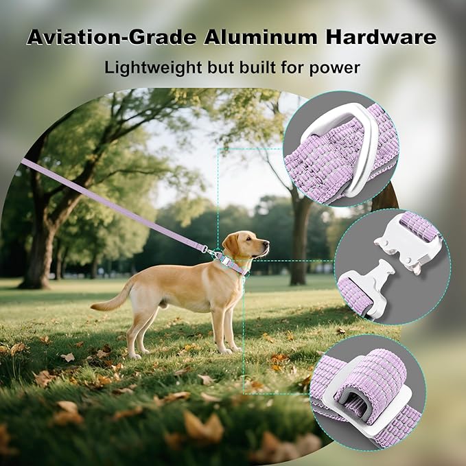 Plutus Pet Reflective Dog Collar with Aviation Aluminum Buckle, Neoprene Padded for Comfort, Lightweight, Heavy Duty Nylon Collar for Puppy Small Medium Large Dogs (Lilac Purple, XL)