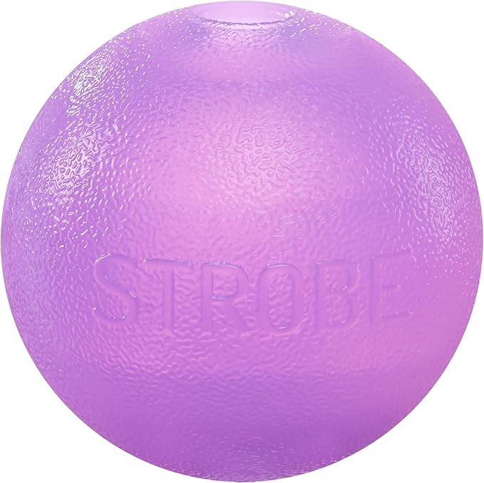 Outward Hound by Planet Dog Strobe Light Up LED Ball Dog Toy, Purple