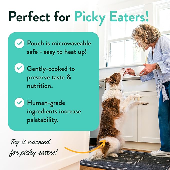 Portland Pet Food Company Fresh Dog Food Pouches - Human-Grade Topper Mix-Ins & Wet Pet Meals - Small & Large Breed Puppy & Senior Dogs - Gluten-Free Meal Toppers, Made in The USA - 8 Pack Variety