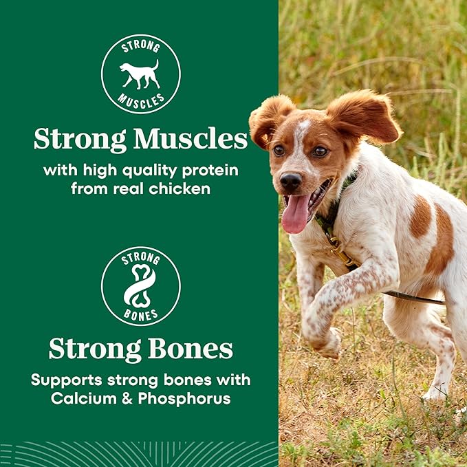 Nutro Natural Choice Chicken & Brown Rice Adult Small Bites Dog Food Recipe, 30 lb. Bag