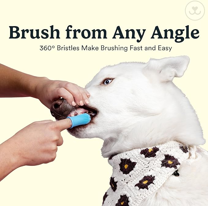 Jasper Dog Toothbrush, 360 Degree Pet Tooth Brushing Kit, Cat Toothbrush, Canine Dental Care & Teeth Cleaning Kit, Pet Finger Tooth Brush, Use with Dog Toothpaste, 2-Pack Pink