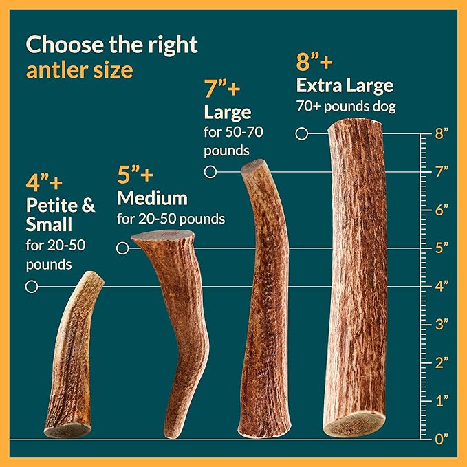 100% Natural - Split Antlers for Dogs ( 3pack ) - Naturally Shed in USA - Grade A Long Lasting Chew for Aggressive Chewers - Elk Antlers Dog Antler Chews - Treats & Toys - No Odor & No Mess - Small