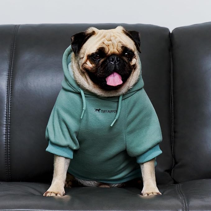 Tuff Pupper Dog Hoodie | Premium Quality 100% Organic Cotton | Ultra Soft Interior for Superior Comfort | Elastic Cuffs & Drawstring for Warmth | Stretch Fit Suitable for All Breeds (Teal, M)