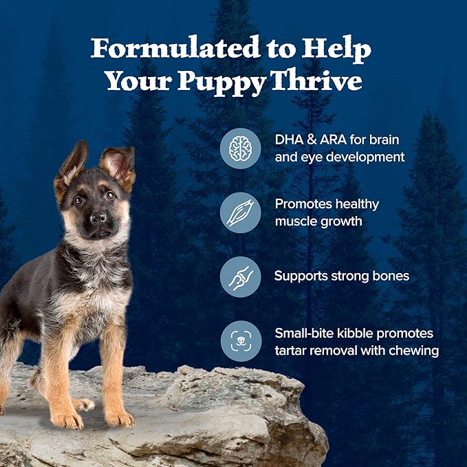 Blue Buffalo Wilderness Puppy High-Protein Dry Dog Food with Real Chicken, Grain-Free, Made in The USA with Natural Ingredients, Chicken, 4.5-lb. Bag (Pack of 4)