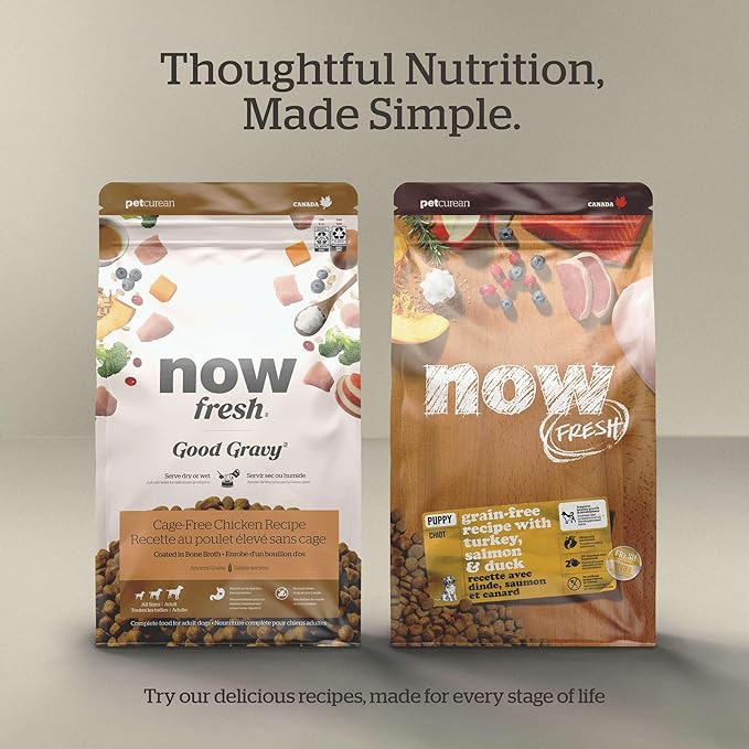 Now Fresh Grain-Free Senior Dry Dog Food with Turkey, Salmon & Duck, Premium Kibble Made with Real Meat & Fish, Chicken-Free Recipe, Glucosamine & Chondroitin for Healthy Joints, 12 lb Bag