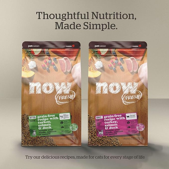 Now Fresh Grain-Free Senior Dry Cat Food with Turkey, Salmon & Duck, Premium Kibble Made with Real Meat & Fish, Chicken-Free Recipe, Supports Healthy Weight Management, 16 lb Bag