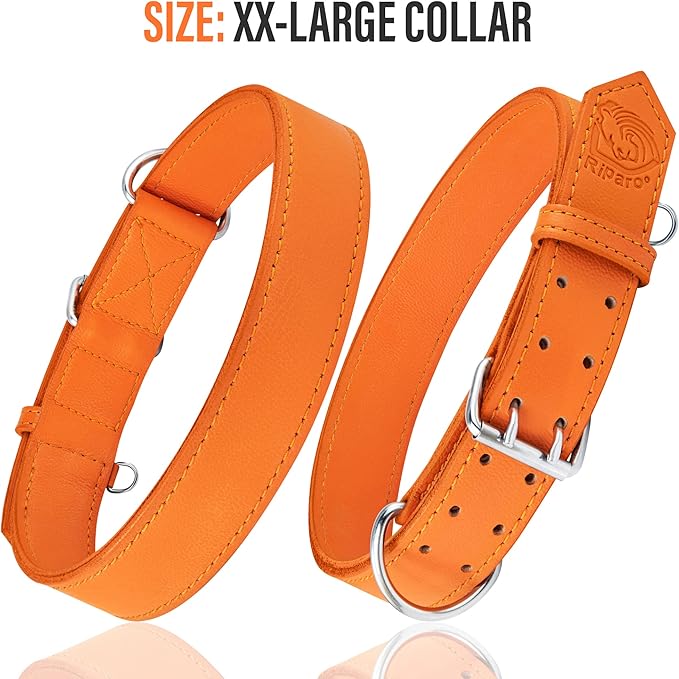 Riparo Dog Collar - Genuine Leather Dog Collars - Adjustable Dog Collars - Heavy Duty Hardware for Medium Large and Extra Large Dog Breeds (XXL, Orange)