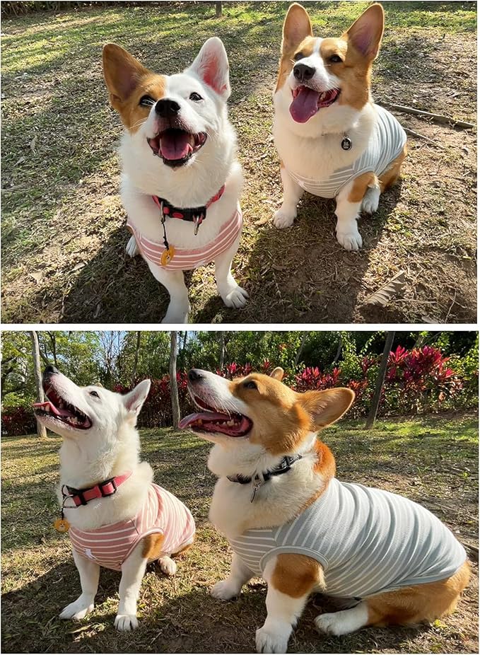 Koneseve Dog Shirt Vest Lightweight Stretchy Dog T-Shirts Soft Cool Shirts Sleeveless Stripe Vests Breathable Clothes for Puppy Kitty Cats Small Medium Large Dogs 2 Pack Pink + Green [ 5XL ]