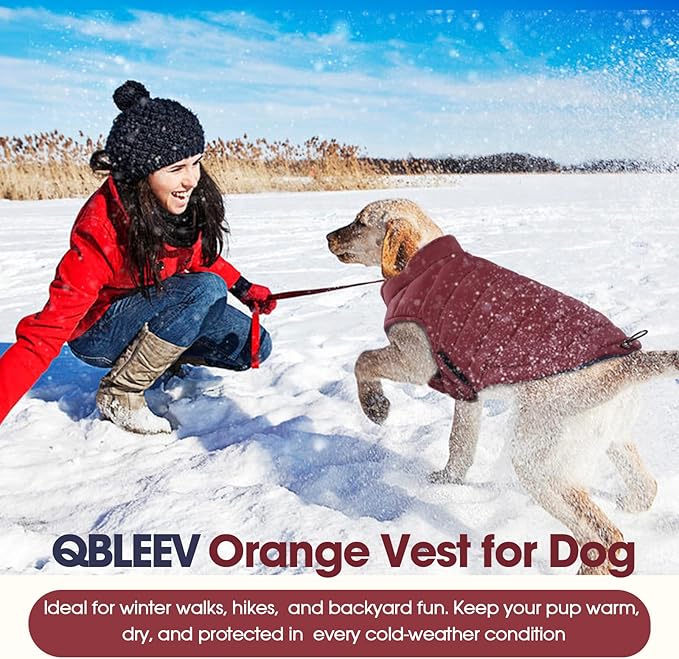 QBLEEV Reversible Dog Winter Coat, Waterproof Windproof Warm Jacket with Adjustable Hook & Loop Design, Lightweight Puffer Vest for Medium Dogs, Wine Red, M – Fits Pug, Beagle, Corgi