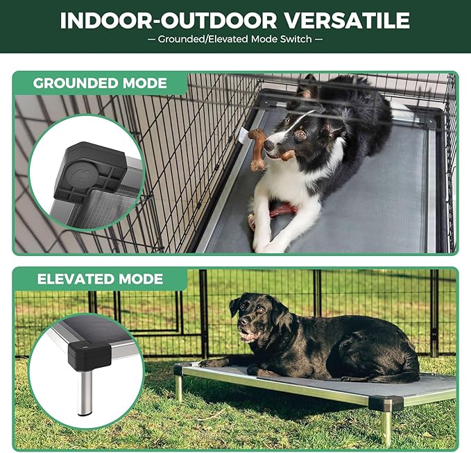 FXW TitanNest Chew-Proof Elevated Dog Bed, Raised Cot for Indoor/Outdoor/Camping Use, Durable & Washable Padded Pet Bed for Extra-Large Dogs, 56.0" L x 31.0" W x 7.3" H, Black