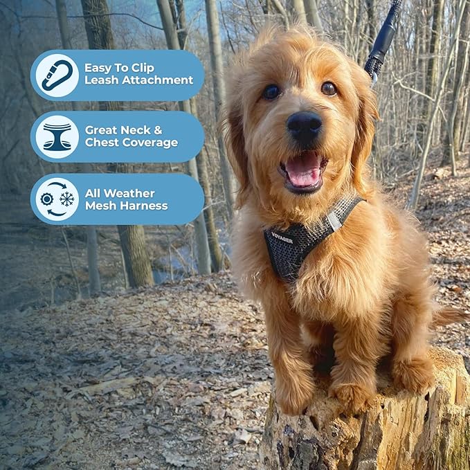 Best Pet Supplies Voyager Step-in Air Harness - All Weather Mesh, Reflective, No Pull Harness for Dogs, Cats - Secure with Hook & Loop Fastener, Buckle, Double D-Rings - Tone, XL