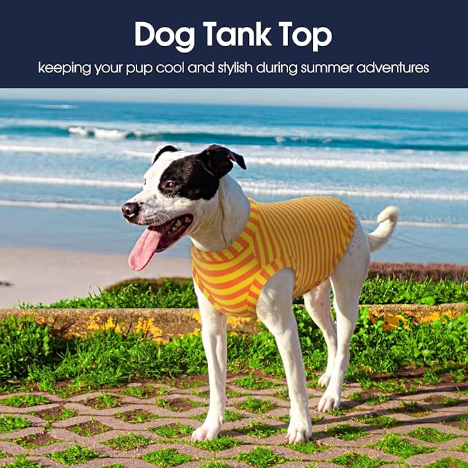 IECOii 2 Pack Summer Dog Clothes for Large Dogs,Breathable Stretchy Pet T-Shirts Lightweight Tank Top Sleeveless Vest for Outdoor Sun Protection - Fit for Large Breeds Labrador,Orange+Stripes,3XL