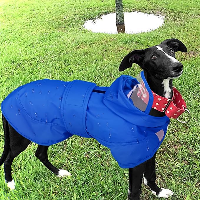 Kuoser Dog Raincoat, Waterproof Dog Rain Jacket with Clear Hooded Double Layer, Lightweight Reflective Dogs Rain Coat with Adjustable Belly Strap, Rain Coats for Extra Large Dogs Outdoor Wear,Blue 2XL