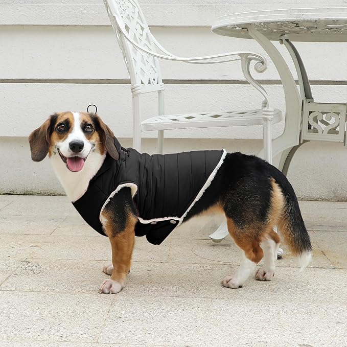 Fleece Lining Dog Hoodie with Harness Built in,Extra Warm Large Dog Jacket in Winter Doggie Coats with Drawstring Hooded,Black XXL