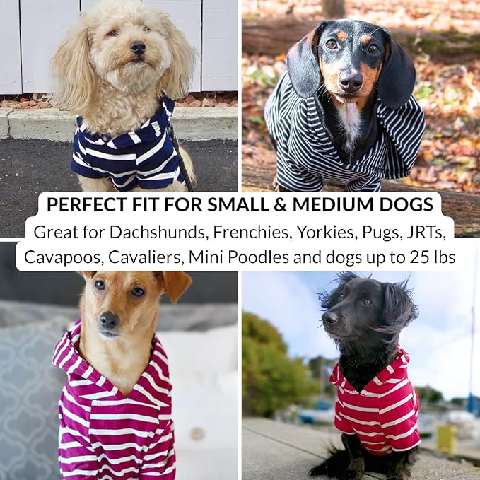 DJANGO Dog Hoodie – Warm, Lightweight, Soft & Stretchy Dog Sweater with Hood, Harness Hole & Elastic Waistband – Cozy Sweatshirt for Small Dogs up to 25 lbs, Dachshunds & Puppies – Blush Pink, Small