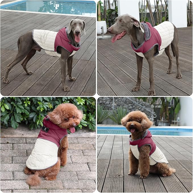 Detachable Hooded Dog Coat with Harness for Medium Dogs,Super Warm Fleece Puppy Jacket for Cold Winter Doggie Coats,Red L