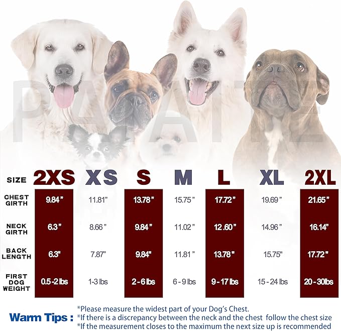 Cozy and Functional Dog Shirts for Small Puppies: Stretchable White Attire with Easy-On Design, Ideal for Chihuahuas and Yorkies - Enhance Comfort and Playfulness on Chill Days X-Small