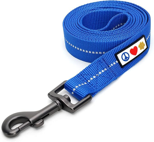 Pawtitas 6 FT Recycled Dog Leash with Reflective Stitched Thread Stitched on Side| Small Reflective Dog Leash Made from Plastic Bottles Collected from Oceans – Blue 6 ft Dog Leash