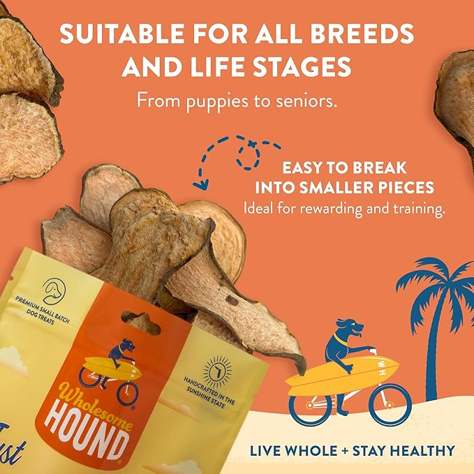 Just Sweet Potato Chips – Single Ingredient Dog Treats, All Natural & Healthy Training Snacks for Small, Medium & Large Breeds, Puppies – High Protein, Made in USA - 4oz